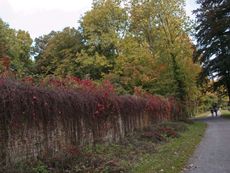 B-Herbststimmung 033.jpg